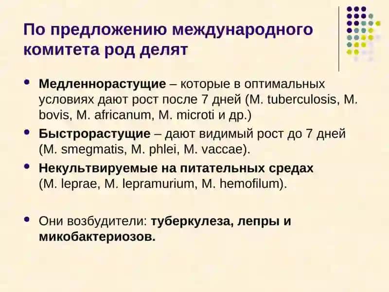 Микобактерии 3