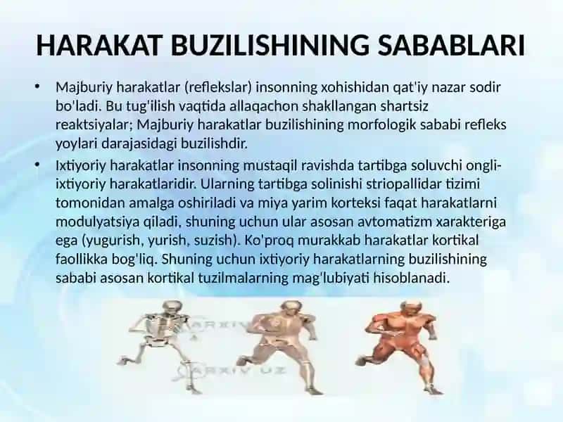 FAOLIYAT VA IXTIYORIY HARAKATLARNING BUZILISHI. APRAKSIYA MUAMMOSI 3
