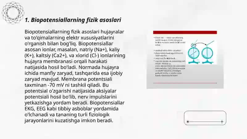 Biopotensiallarni qayta qilishning fizik asoslari.Elektrokardiografiyaning fizik asoslarini o'rganish 3