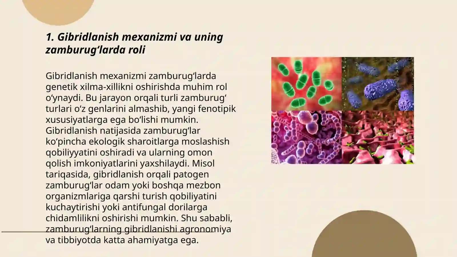 Zamburugʻlarning uzgaruvchanlik mexanizmi. Jinsiy gibridlanish mutatsiya geterokarioz jarayonlar. Bakteriya va viruslarning oʻzgaruvchanligi 3