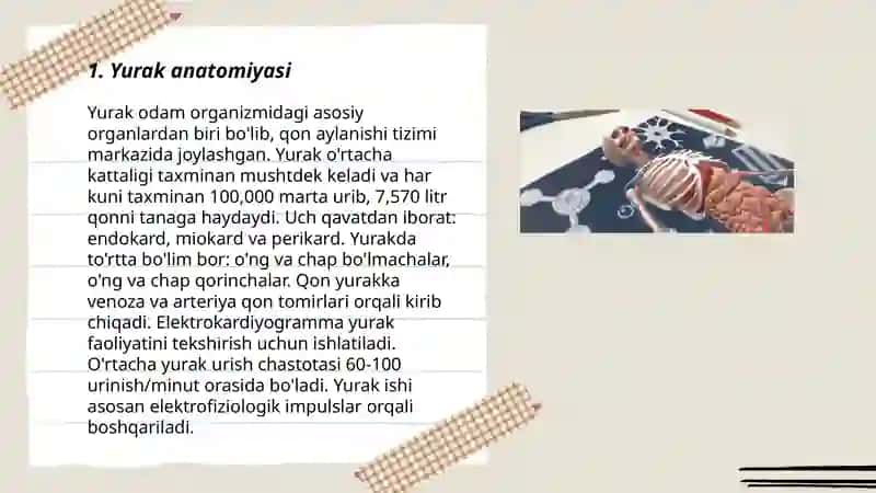 Fan Anatomiya - Til 3