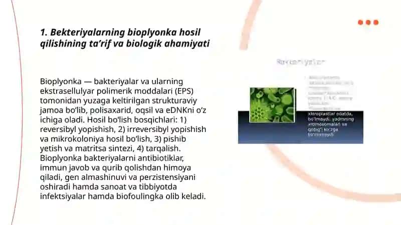 Bekteriyalarning bioplyonka hosil qilishi 3