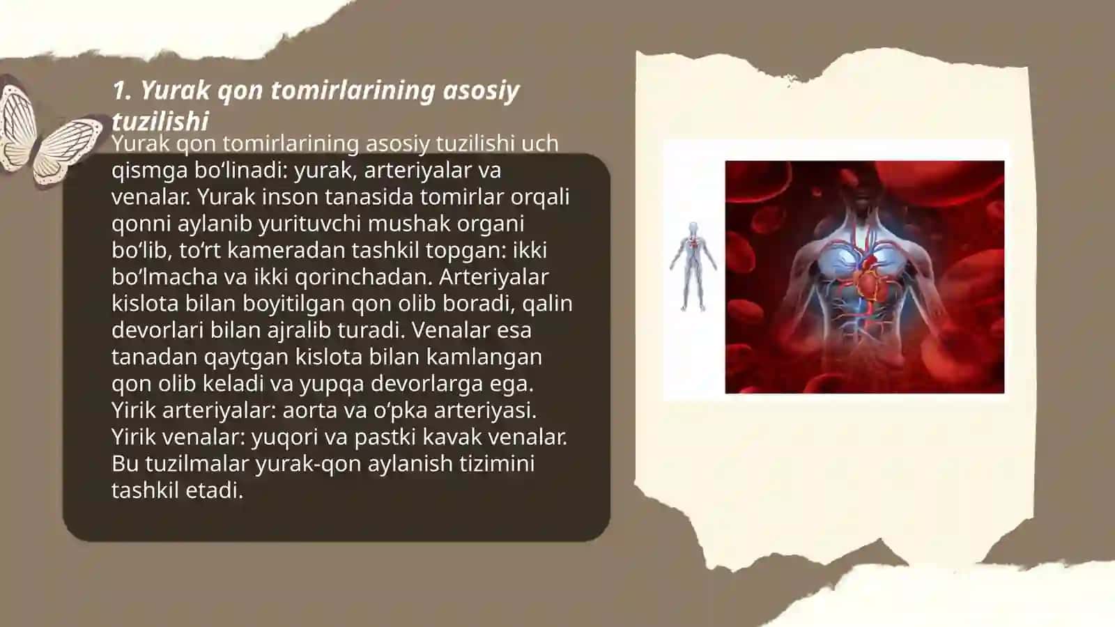 Yurak qon tomirlarining tuzulishi (katta va kichik qon aylanish doirasi aortaning tarmoqlanish) 3