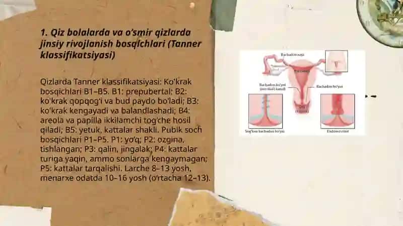 Ayollar organizmini yoshga bog’liq xususiyatlari 3