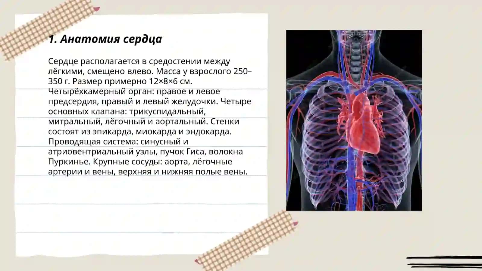 Сердце 3