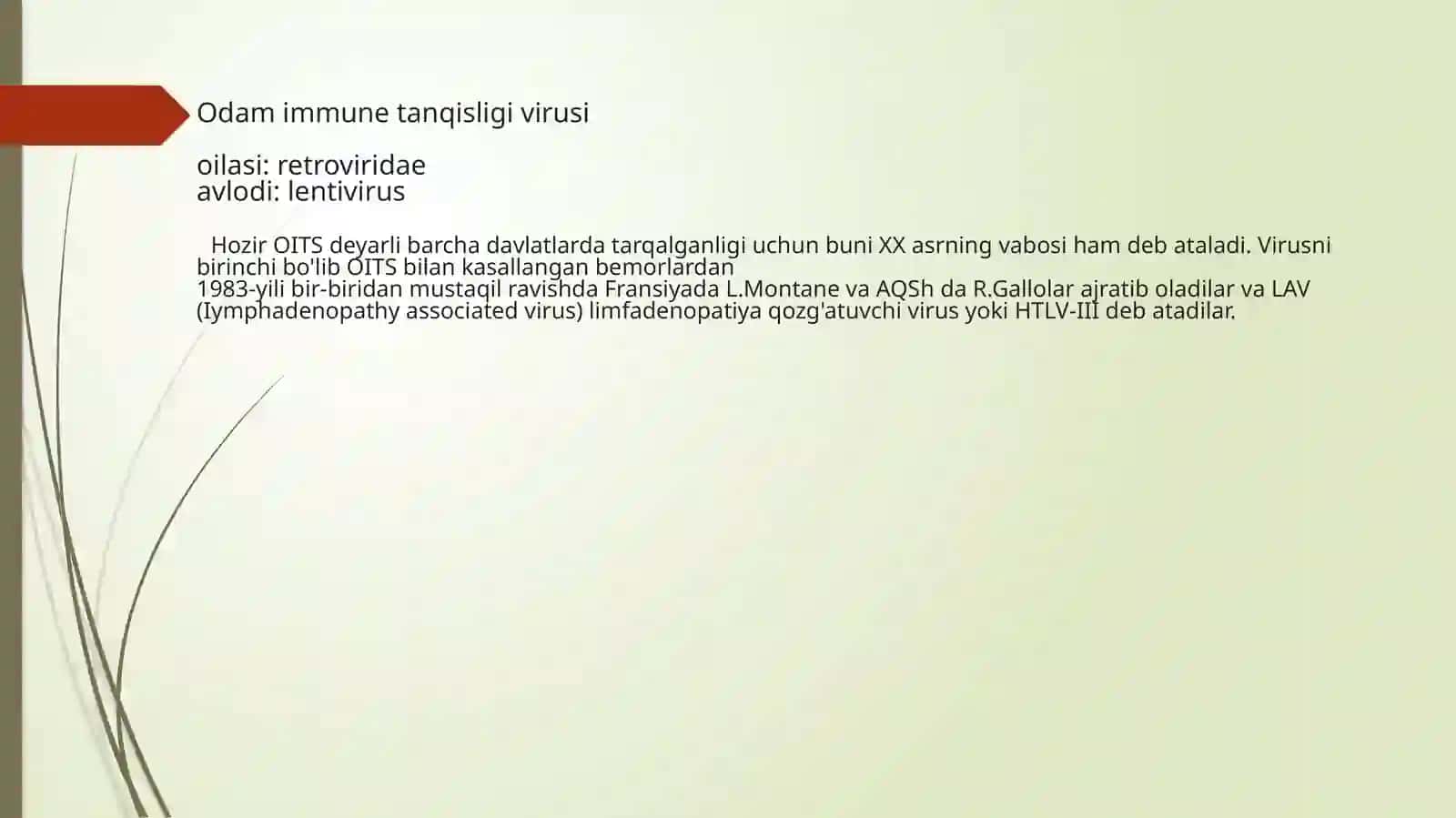 RNK saqlovchi viruslar keltirib chiqaruvchi kasalliklar 3