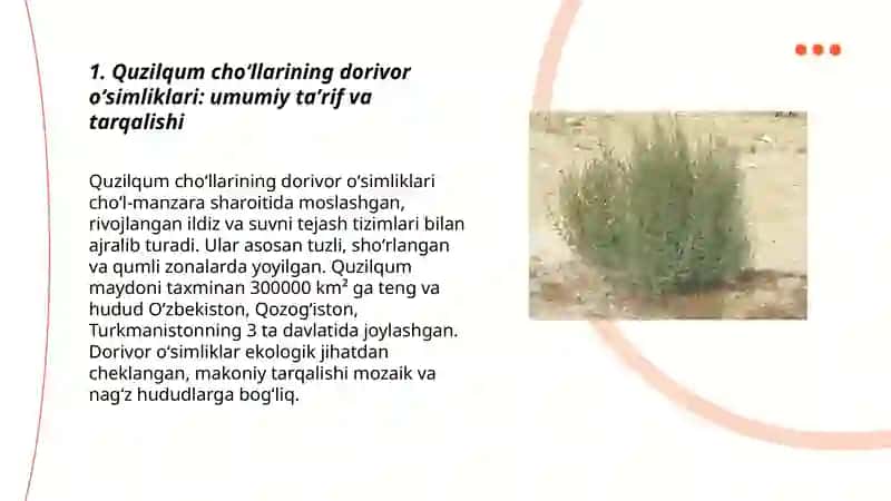 Quzilqum choʻllari dorivor oʻsimliklari 3