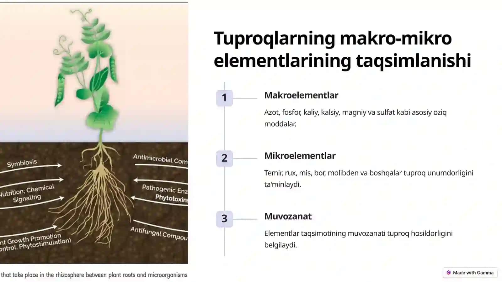 Turli tuproq tiplari 3