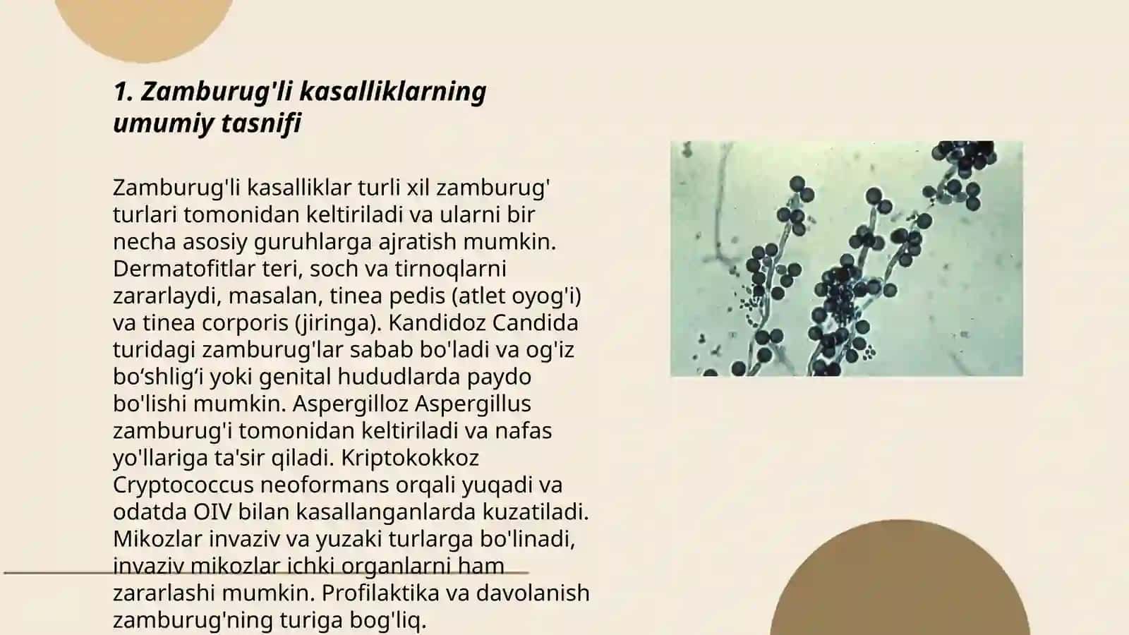 Zamburug'li kasallik qo'zg'atuvchilari tasnifi 3