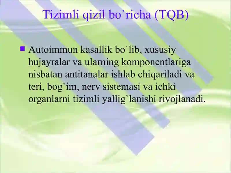 Tizimli qizil bo`richa 3