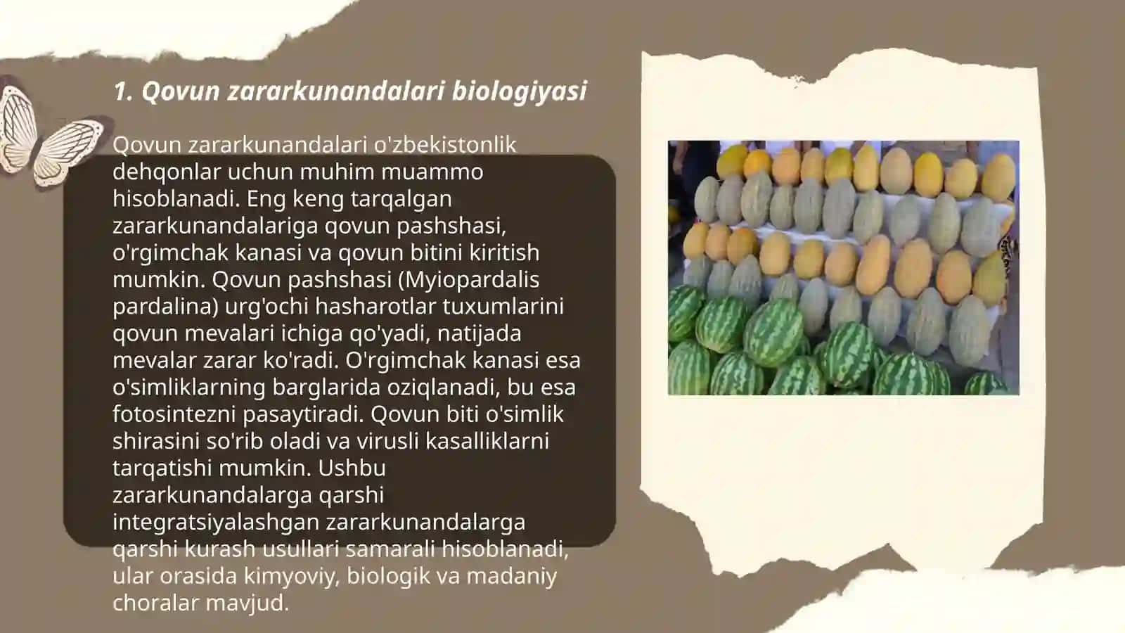 Qovun zararkunandalarni entomofaglari 3