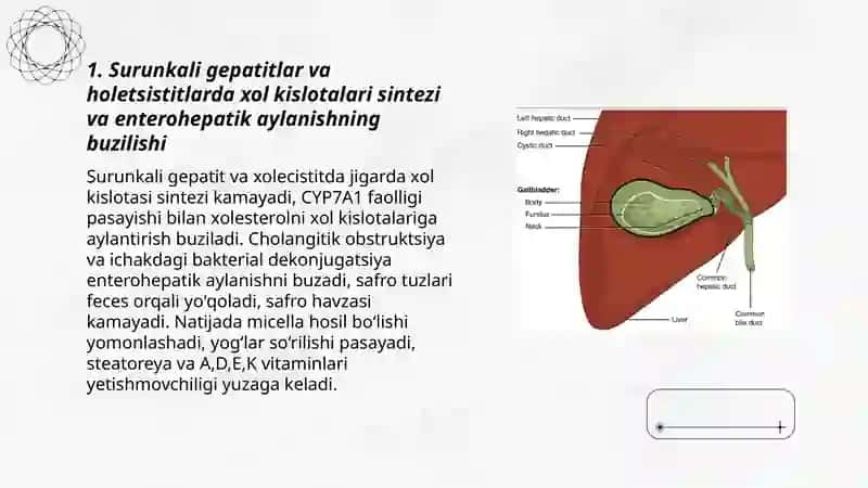 Surunkali gepatitlar va holetsistitlarda yog’lar hazmlanishini buzilishi 3