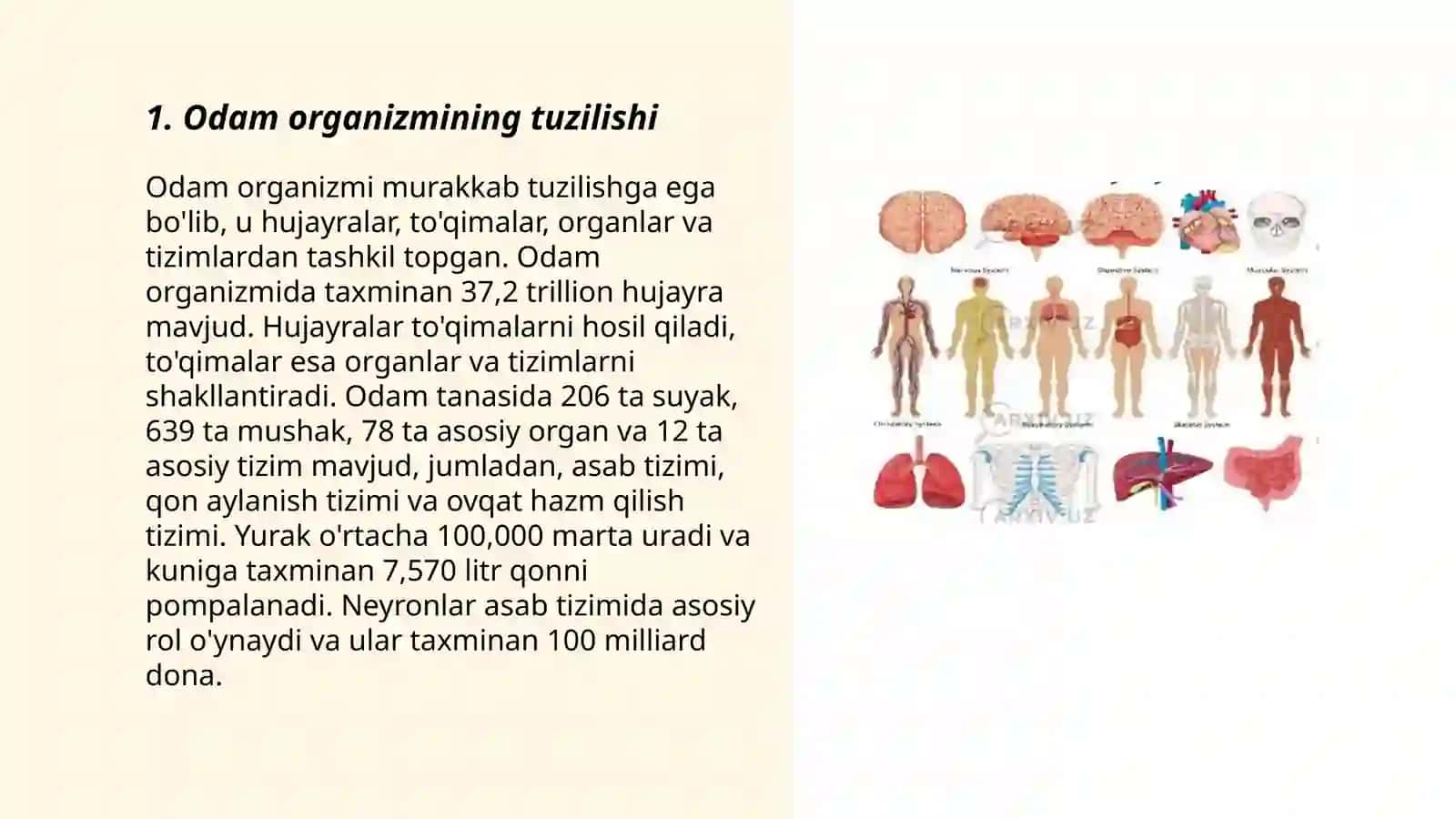 Odamlar va ularning salomatligi 3