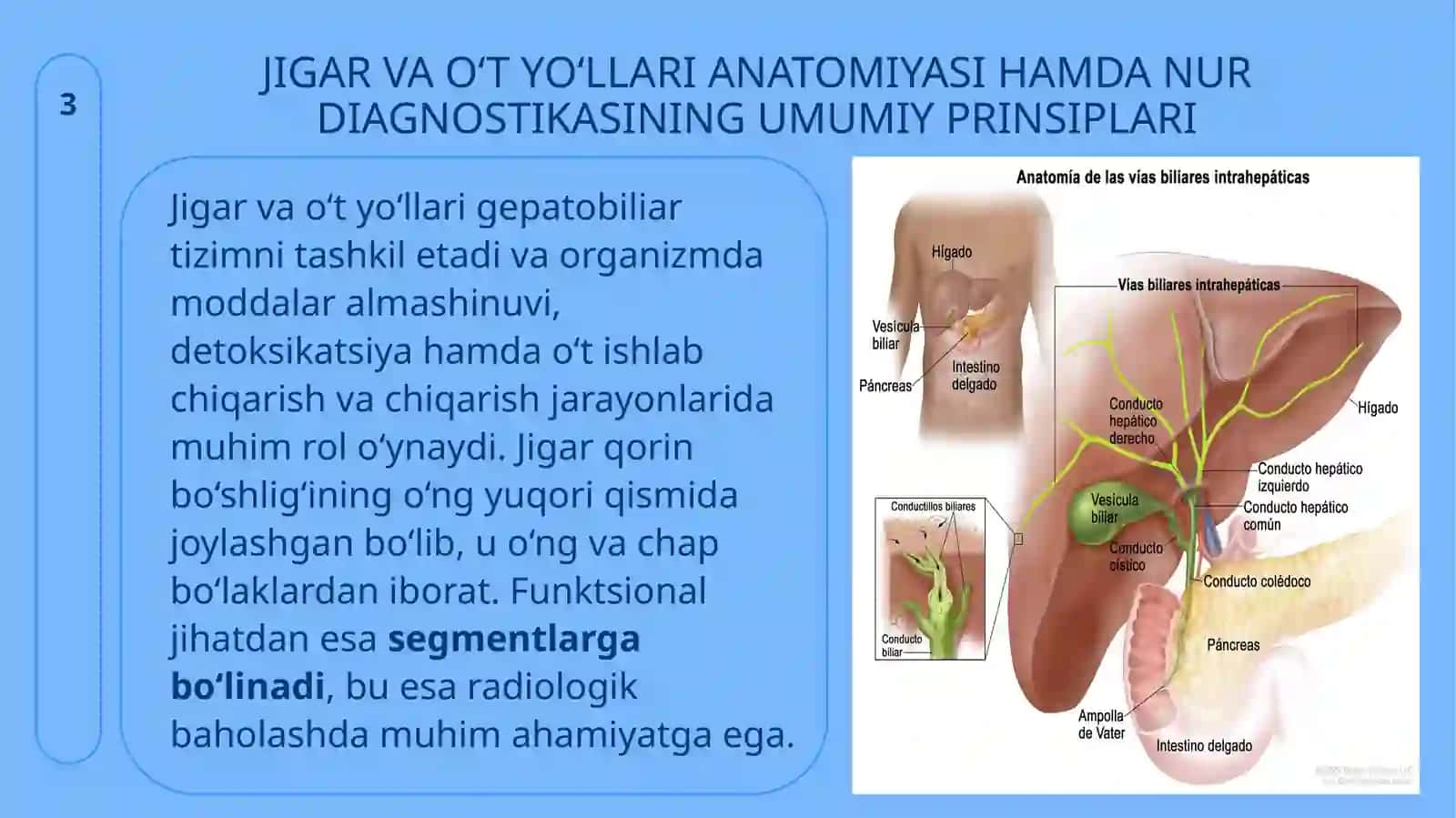 Jigar va o‘t yo‘llarini radiologik tekshirish usullari 3