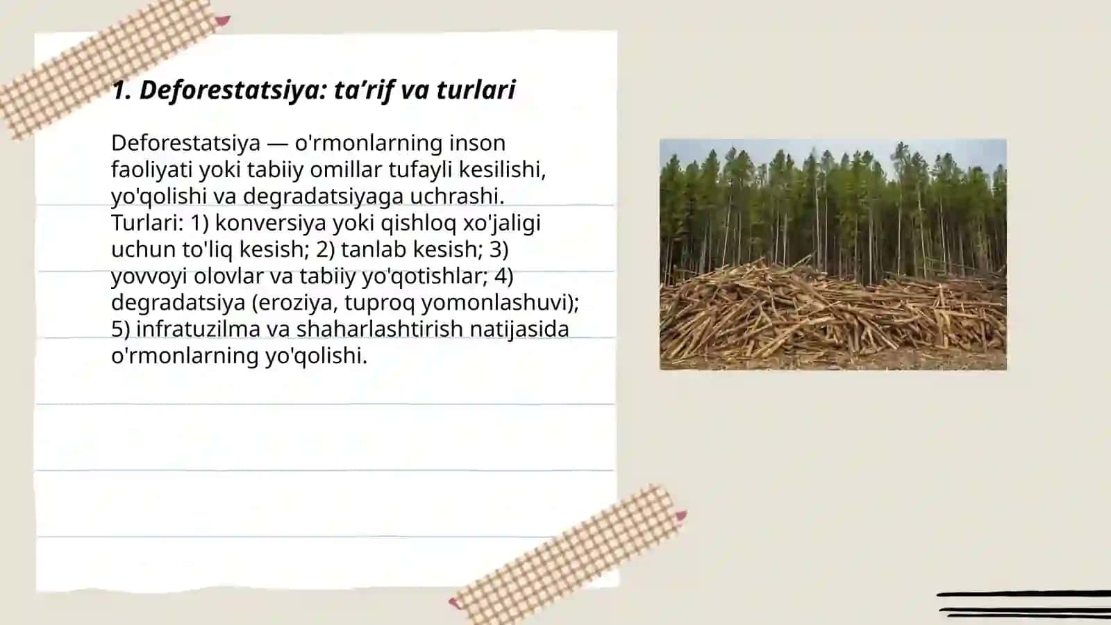 Deforestation 3