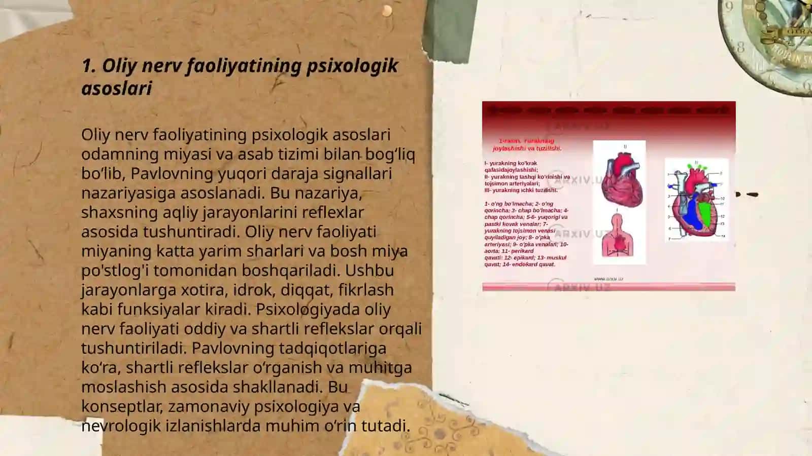 Oliy nerv faoliyatining tiplari. Inson organizmiga tashqi muhit omillarining taʼsirlari 3