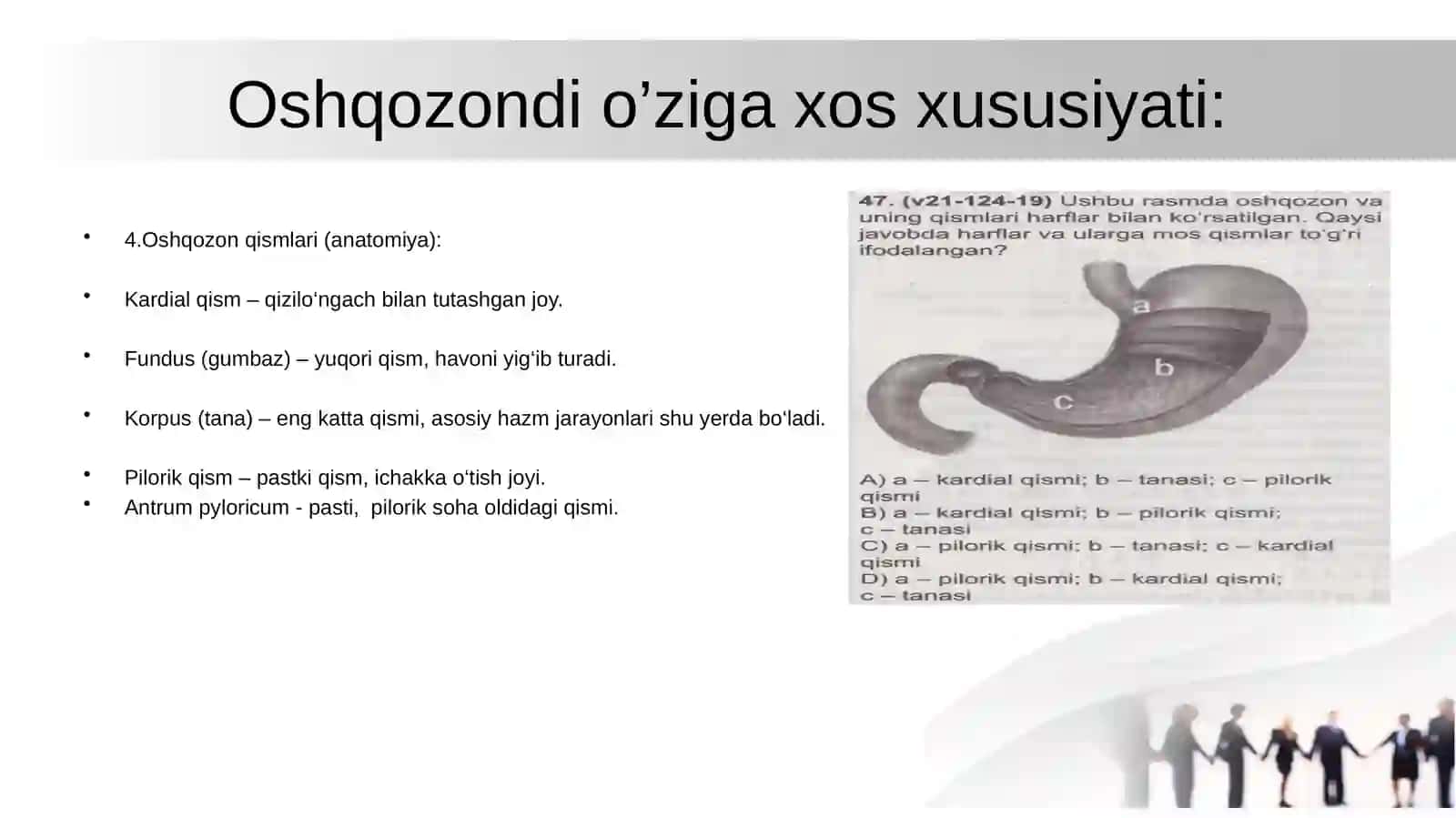 Oshqozon fiziologiyasi: Rasulov 3