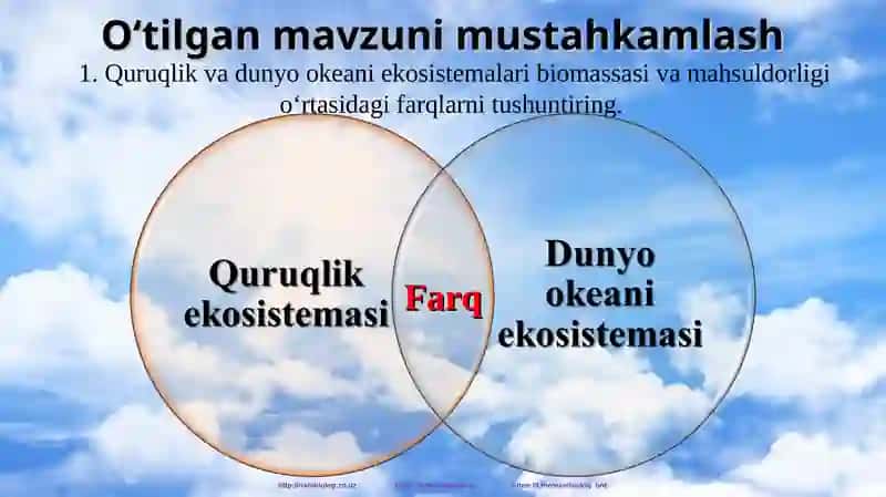 "Ekologik piramida qoidasi. Biomassa va energiya piramidasi" 3