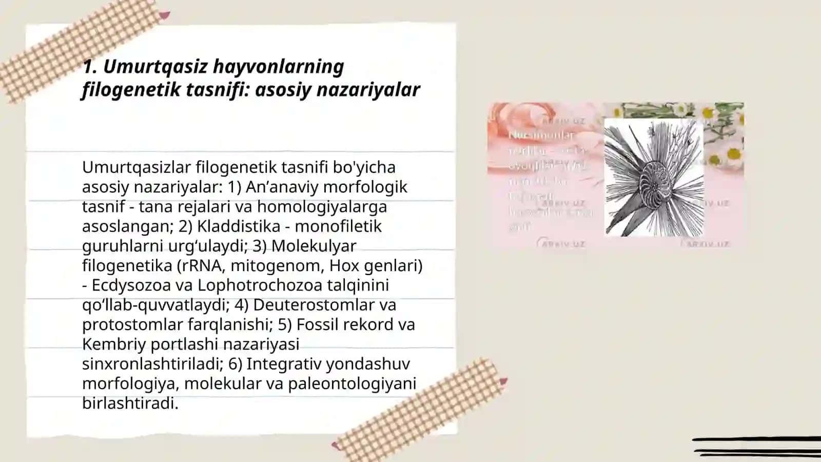 Umurtqasiz hayvonlar dunyosining filogenetik bogʻlanishlari 3
