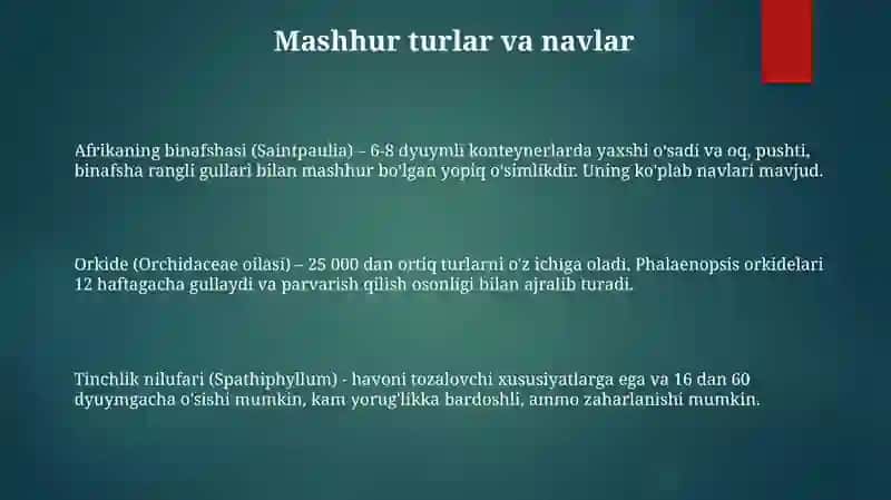 Manzarali gullaydigan xona o‘simliklari 3
