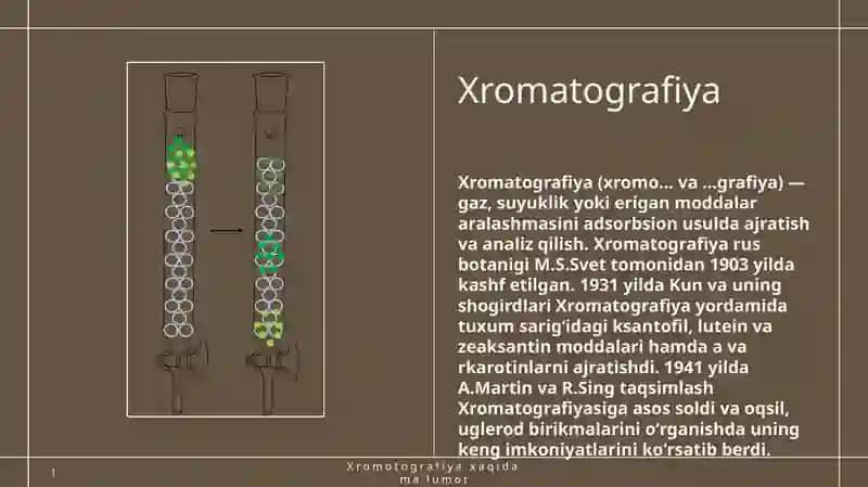 Xromatografiya 3