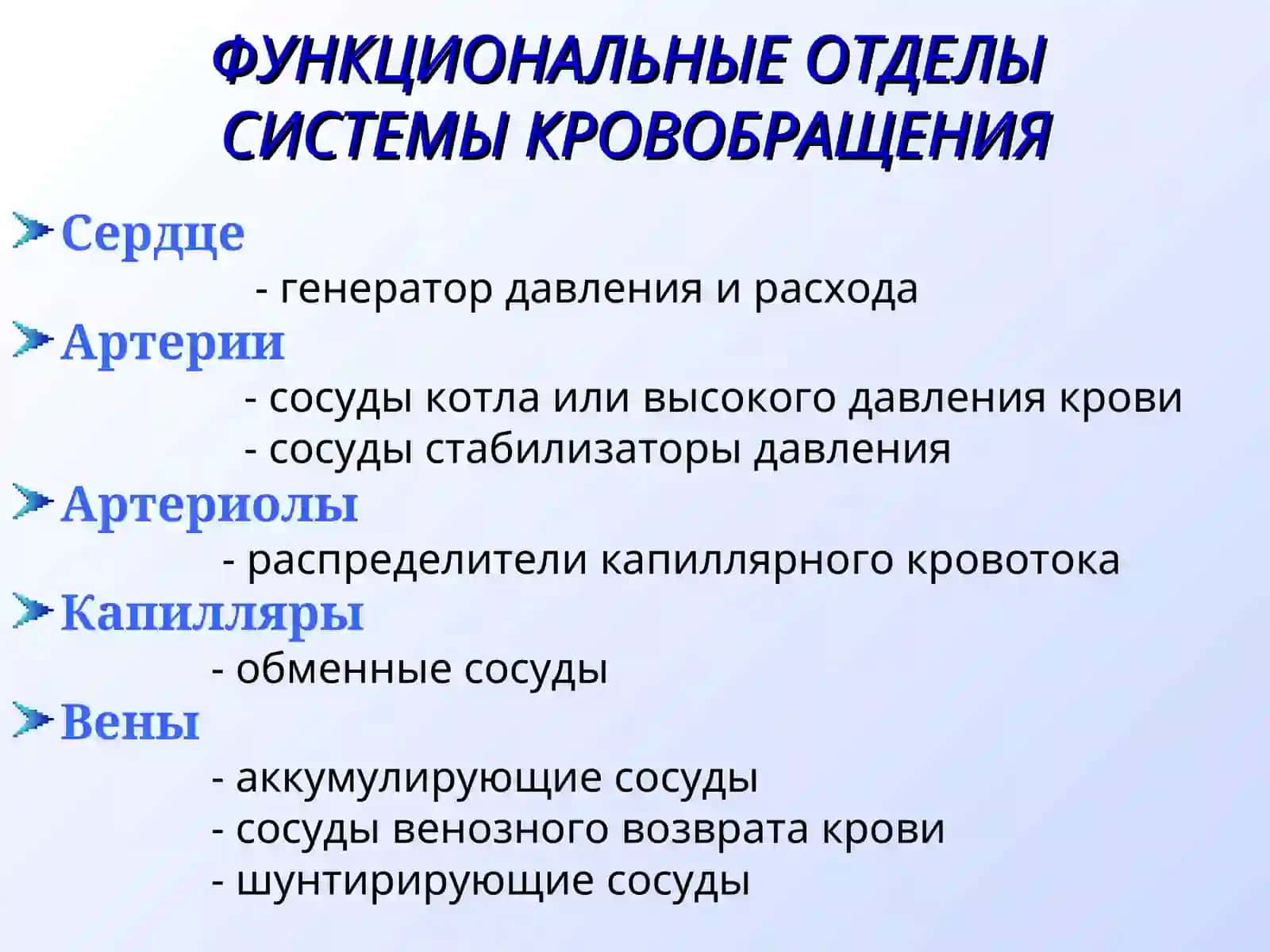 ЗАКОНЫГЕМОДИНАМИКИ.КРОВЯНОЕ ДАВЛЕНИЕ.РЕГУЛЯЦИЯТОНУСА СОСУДО И АД.ФУНКЦИОНАЛЬНЫЕ ОТДЕЛЫСИСТЕМЫ КРОВОБРАЩЕНИЯ 3