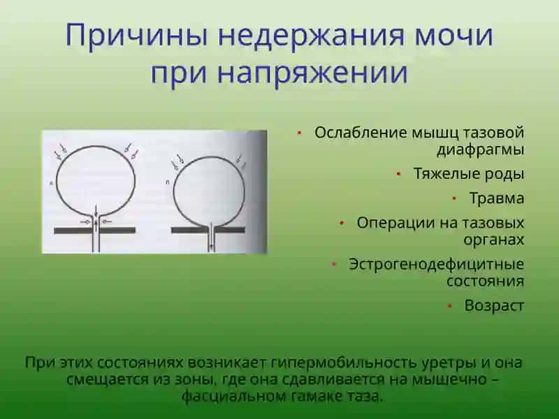 ТЕРМИНОЛОГИЯ 3