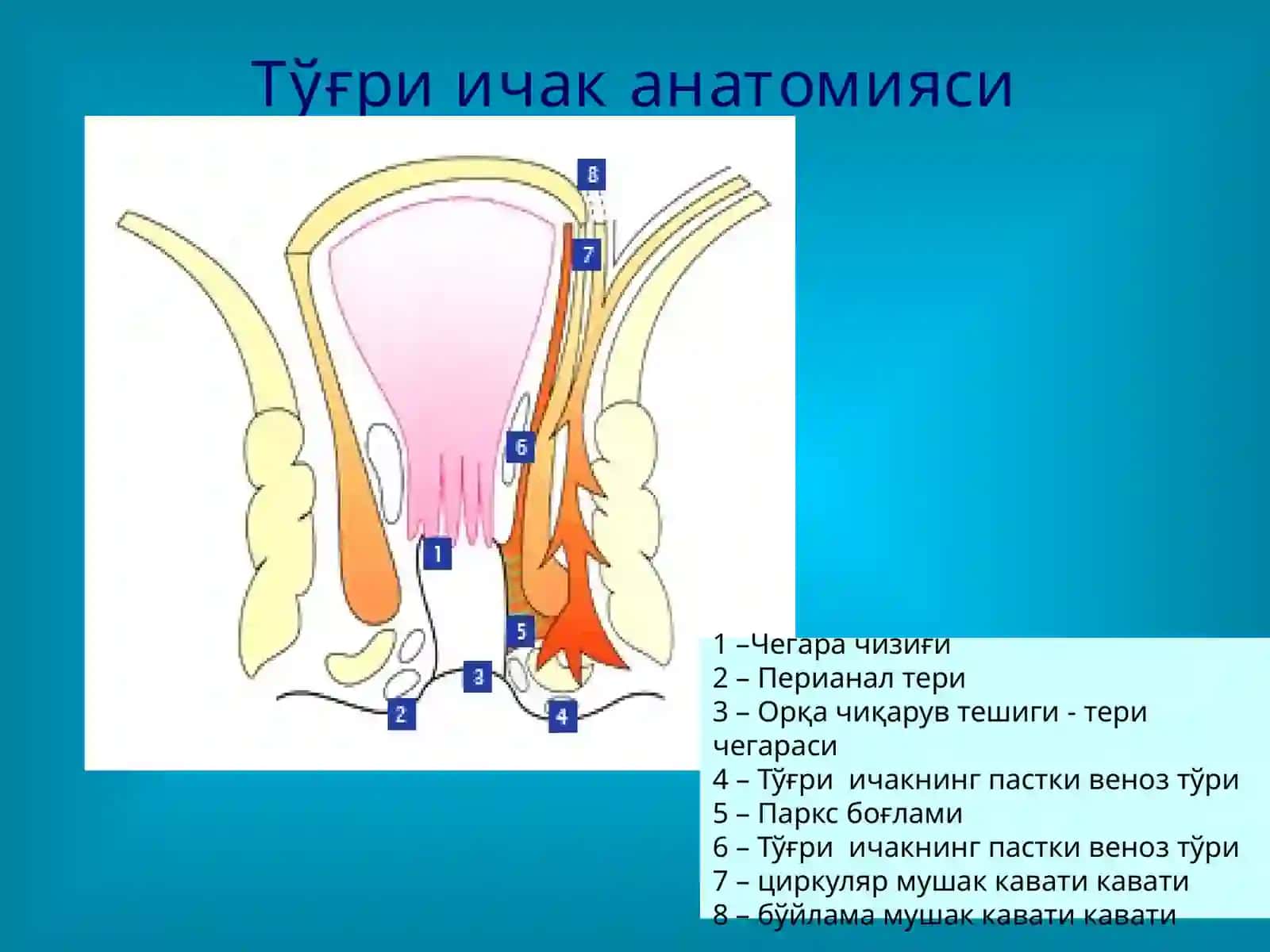 ТЎҒРИ ИЧАК КАСАЛЛИКЛАРИ 3