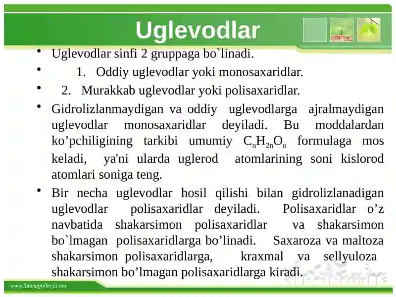 Uglevodlar 3