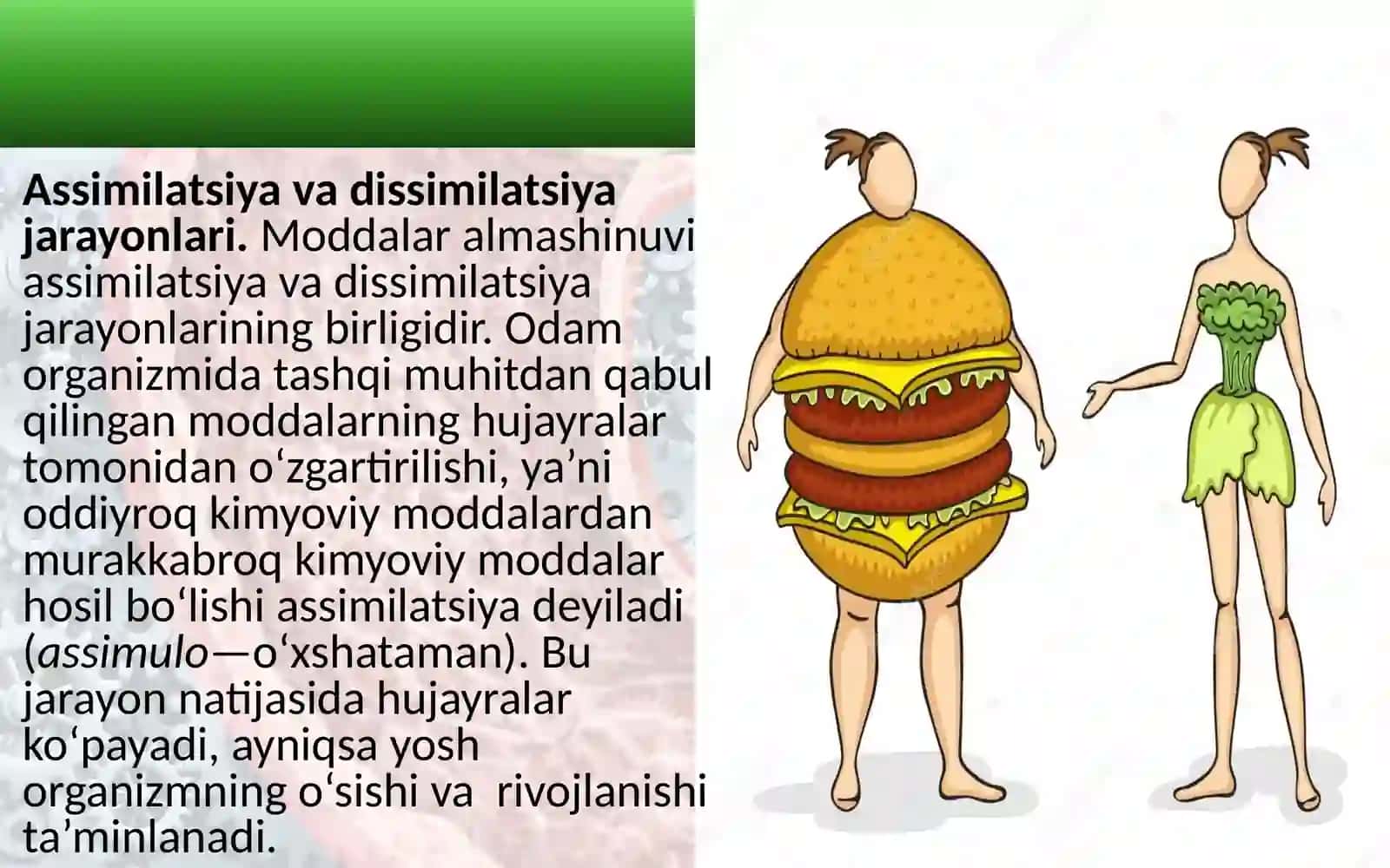 “Moddalar va energiya almashinuvi haqida umumiy tushuncha” mavzusida 8-sinf biologiya fanidan dars ishlanma. 3