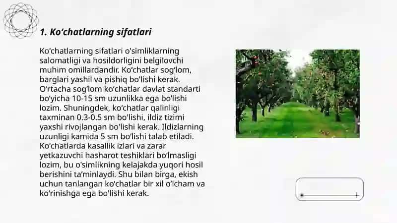 Koʻchatlarning sifatlari 3