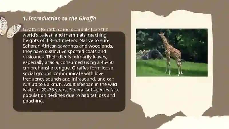 A Presentation about the Giraffe 3