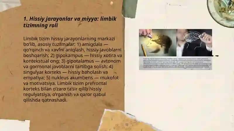 Psixik jarayonlar va miyyaning o’zaro aloqadorligi 3