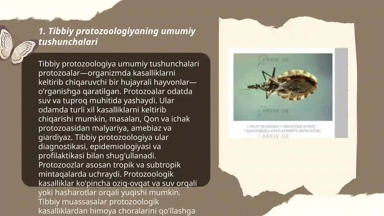 Tibbiy protozoologiya.Xivchinlilar-odam parazitlari:tripanosomalar,leyshmaniyalar, trixomonadalar,lyambliyalar 3