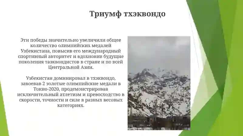 Триумф тхэквондо 3