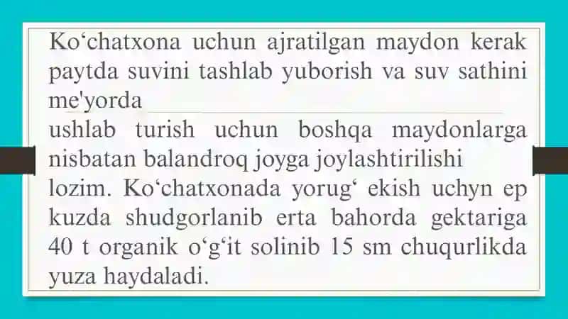 sholinikoʻchatusulidayetishtirishtexnologiyasi 3