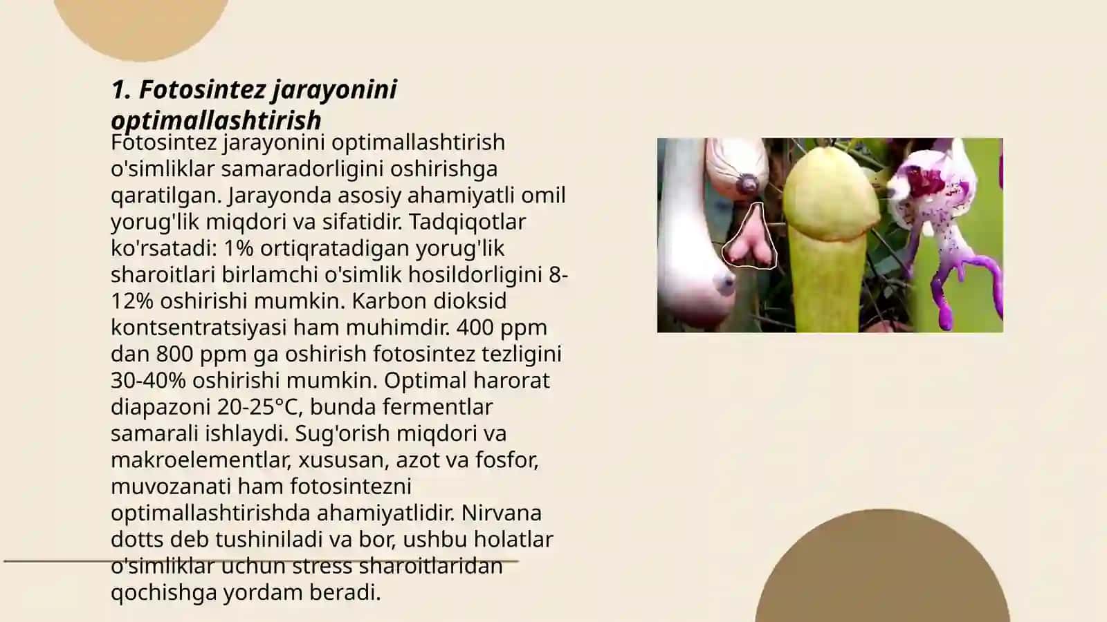 O'simliklar fiziologiyasi 3