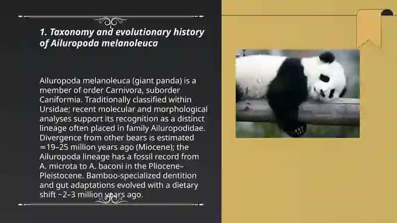 Ailuropoda melanoleuca ( yo'qolib ketyotgan katta oq ayqi) 3