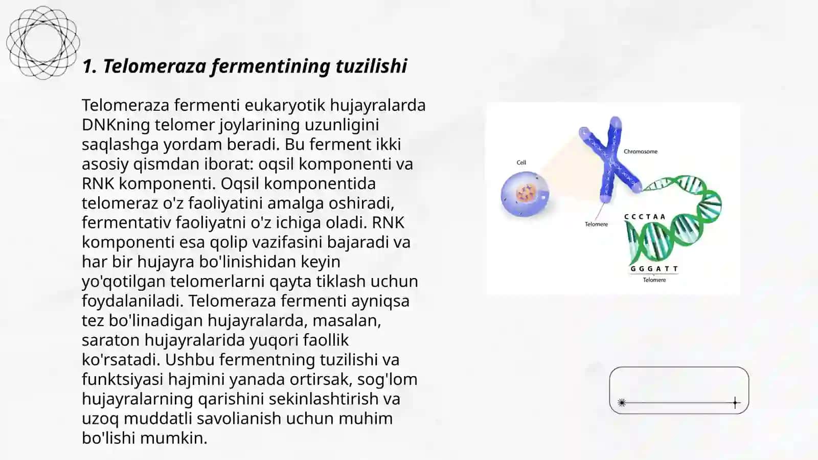 Telomerazalar 3
