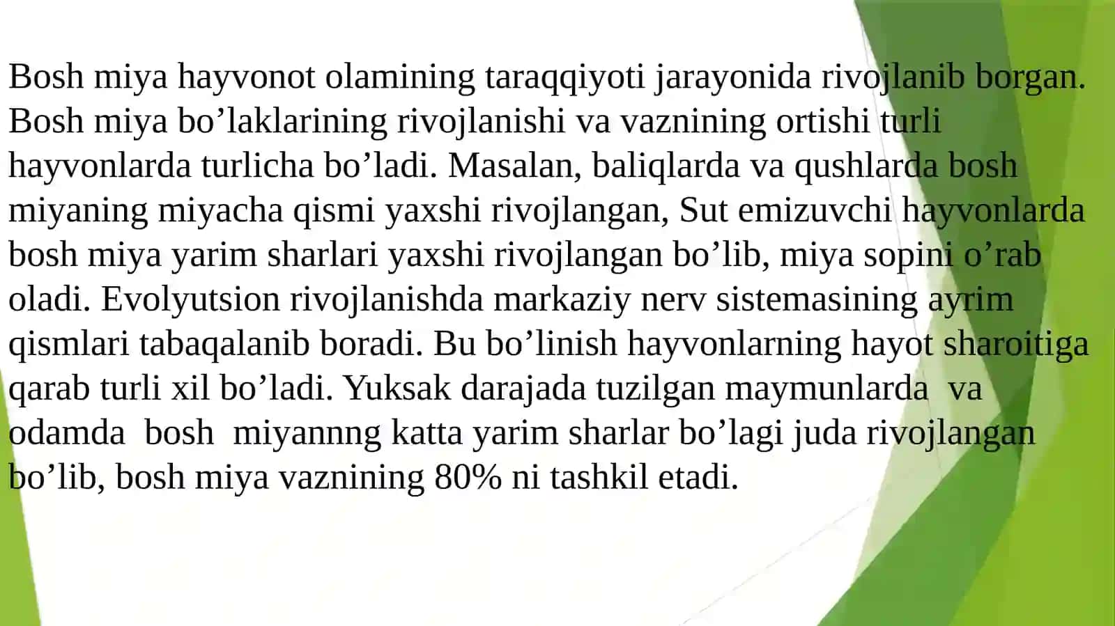 Bosh miya tuzilishi 3