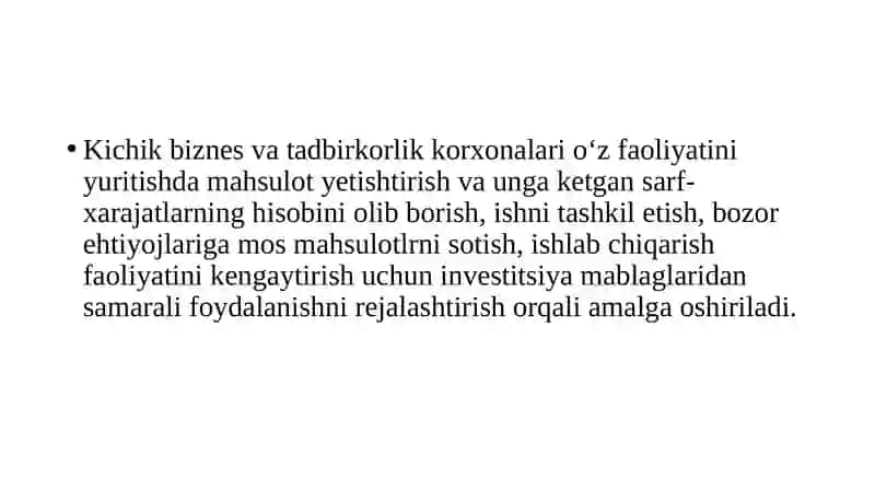 Kichik biznes va xususiy tadbirkorlikni rejalashtirish 3
