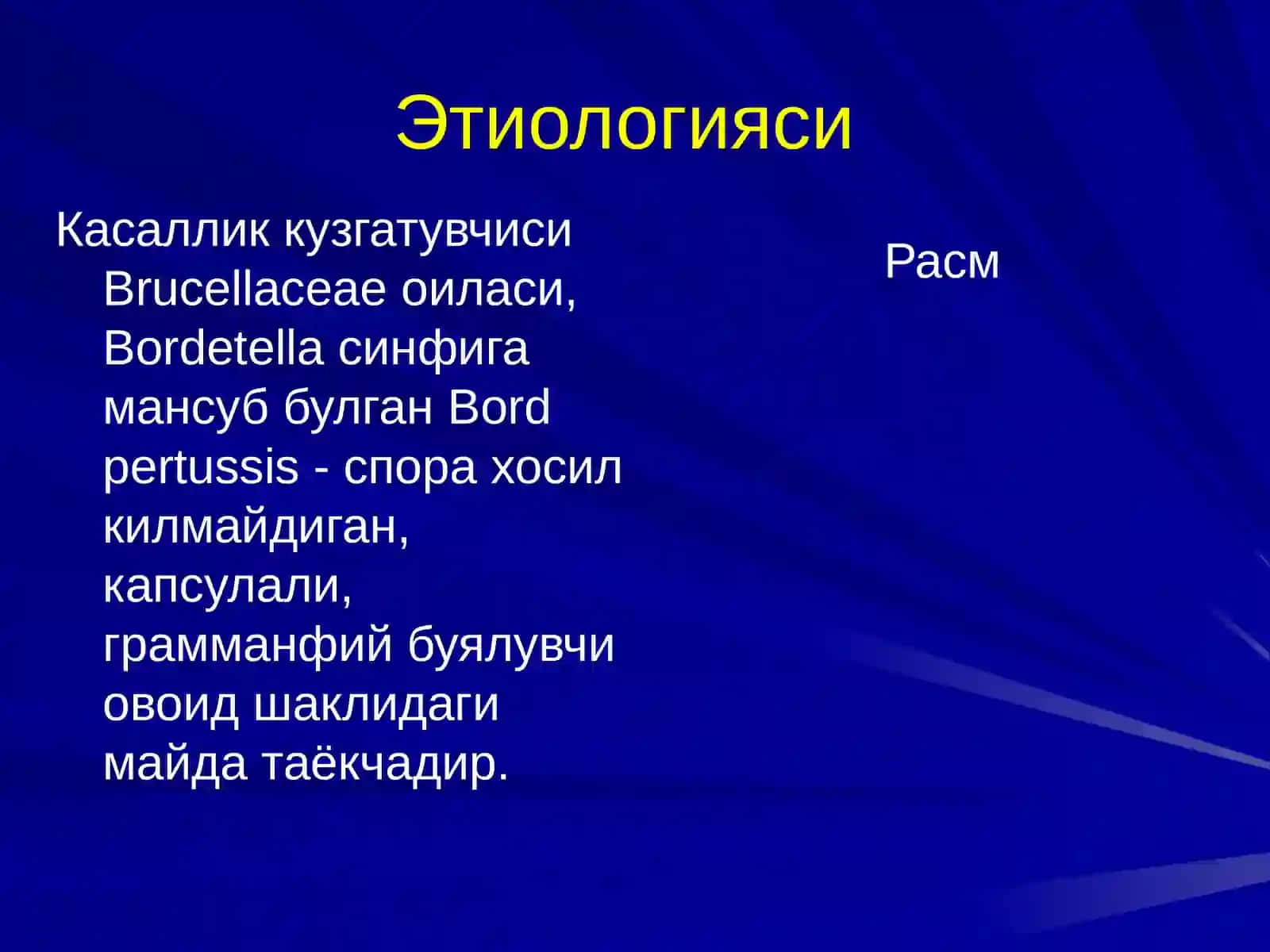 КЎКЙЎТАЛ 3