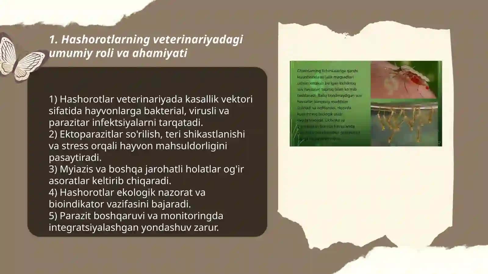 Hashorotlarni veteneriyadagi ahamiyati 3
