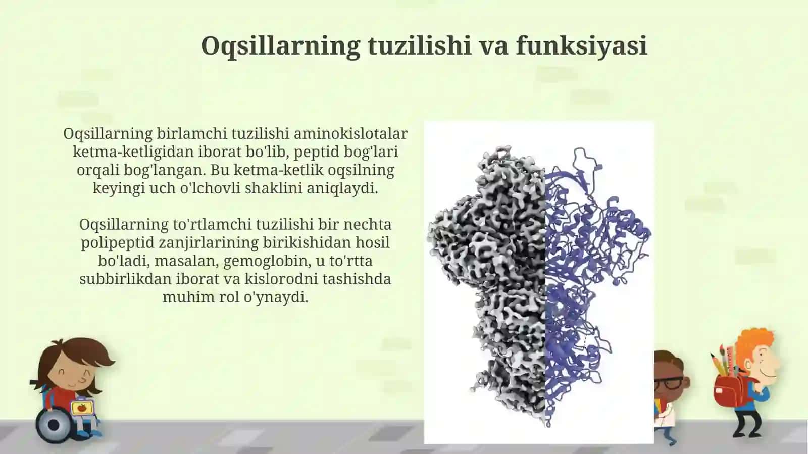 Oqsillarning metabolik transformatsiyasi va degradatsiyasi 3