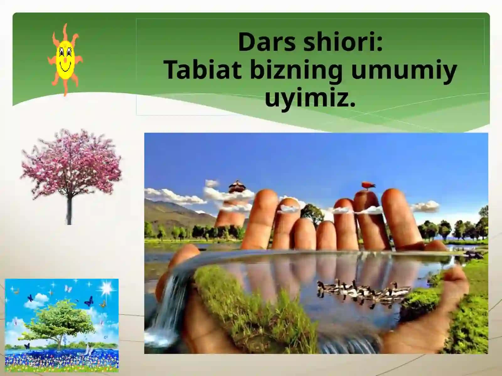 Ekologik tartib buzari lik uchun javobgarlik 3