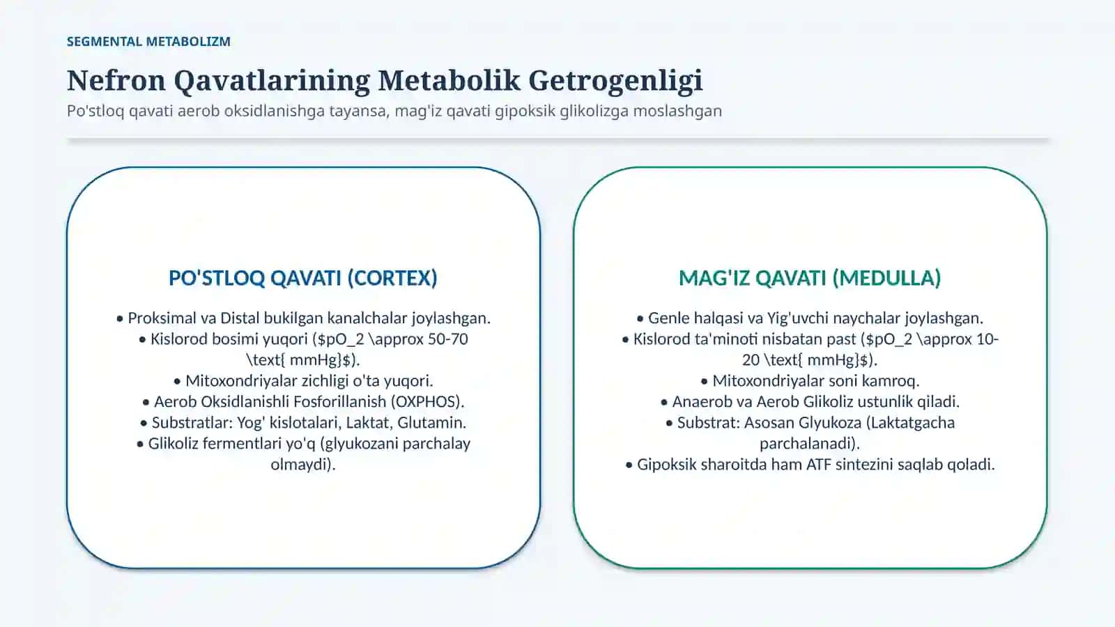 Buyrakning energiya bilan ta’minlanishi — 15 slayd 3