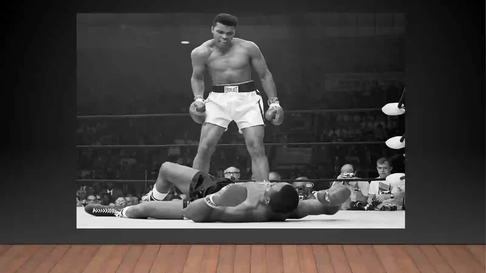 Boxer – bokschi 3