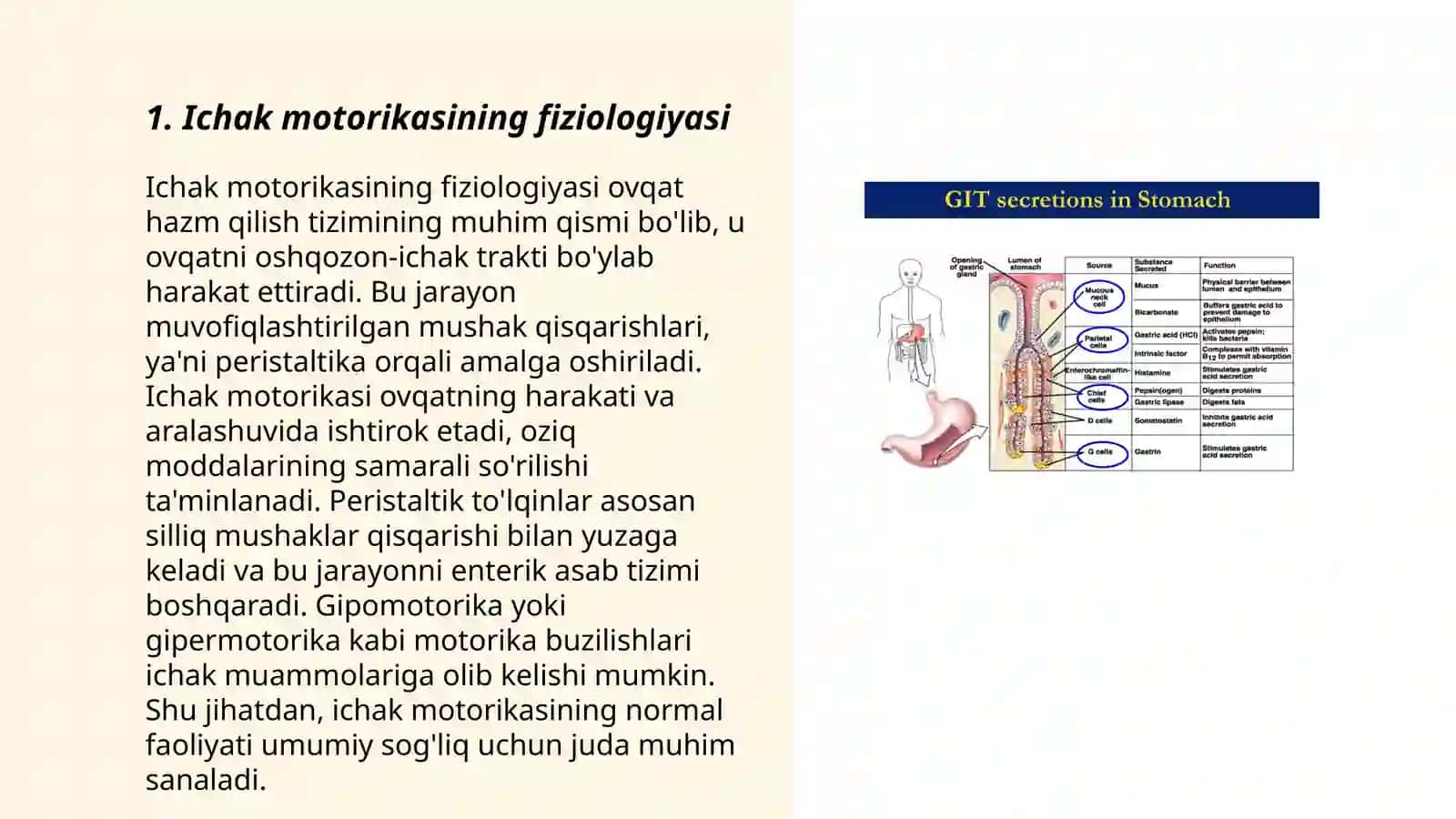 Ichak motorikasining fiziologiyasi 3