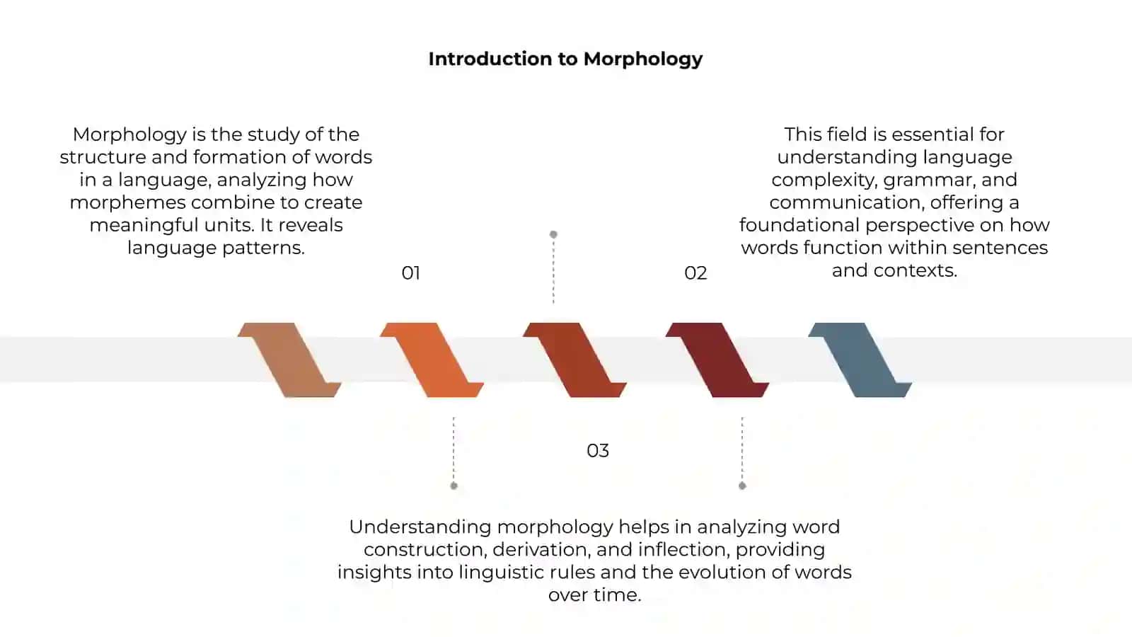 Morphology 3
