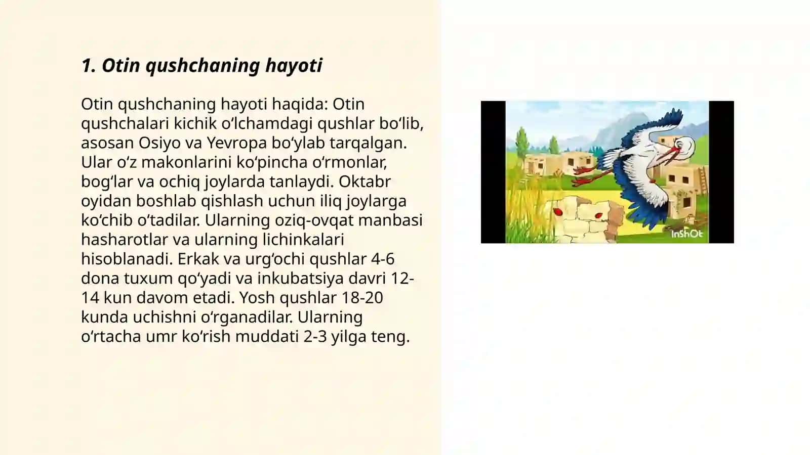 Otin qushcha 3